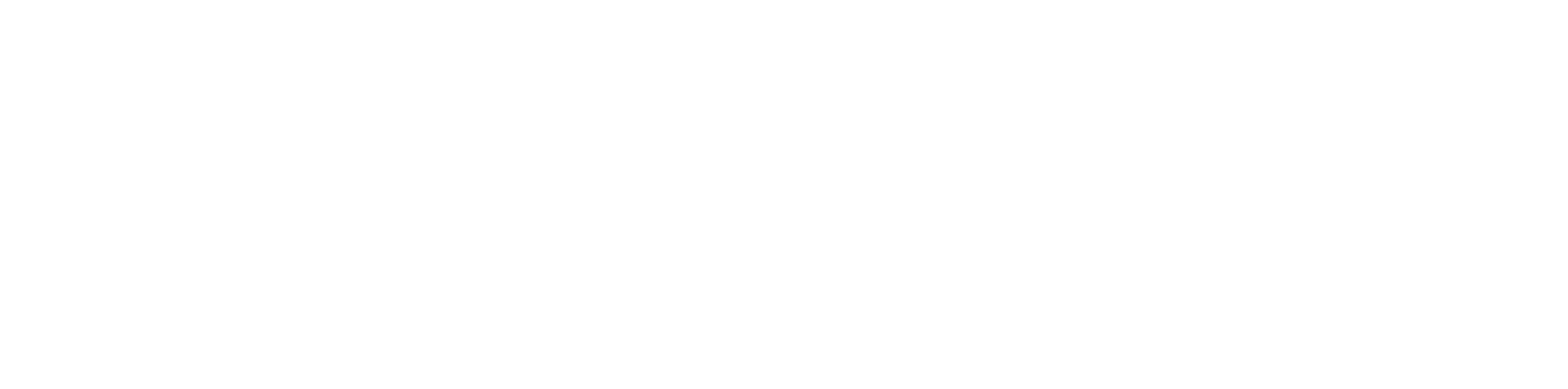 Wordmark, White